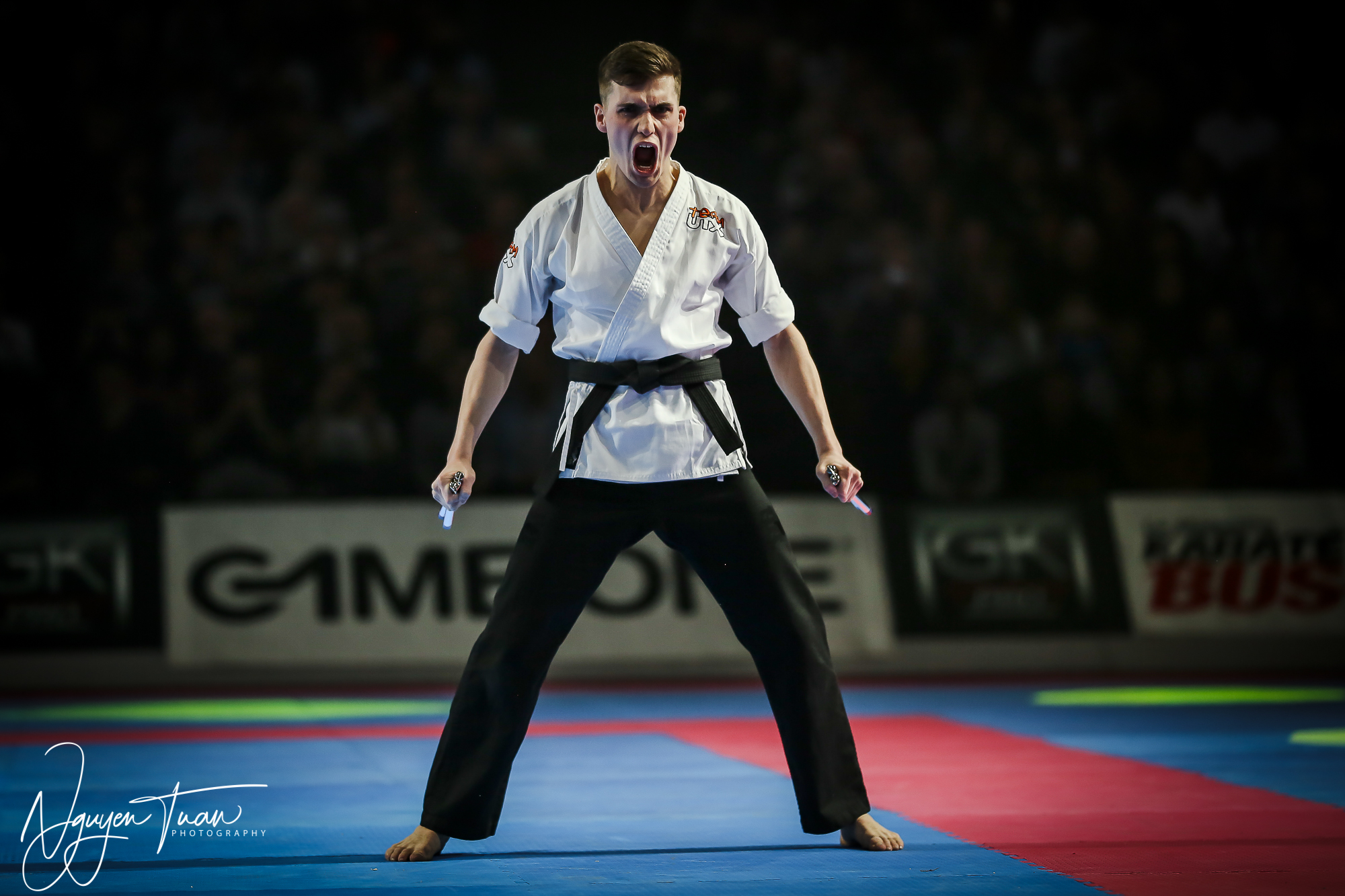 20190324 Festival des Arts Martiaux 4572